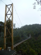 Monster-Maramataha-Gorge-Bridge-1